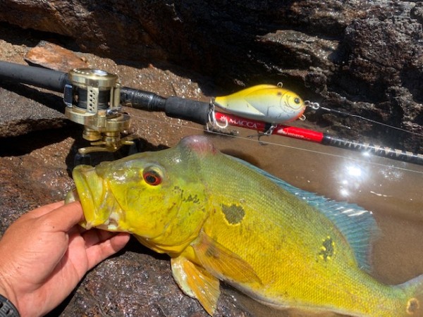 hideup 乃村弘栄 ブログ写真 2019/12/16