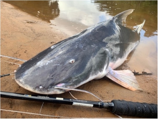 hideup 乃村弘栄 ブログ写真 2019/12/17