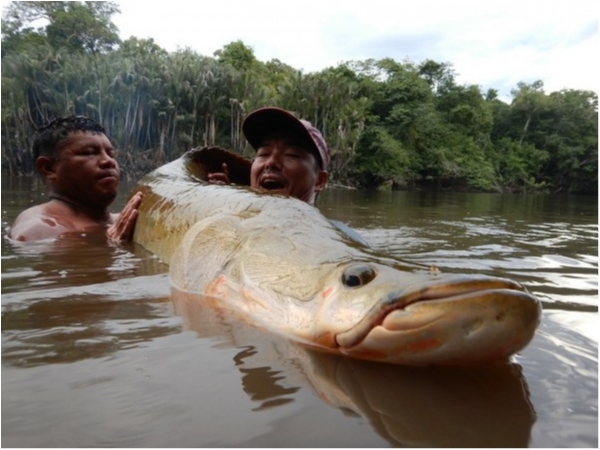 hideup 乃村弘栄 ブログ写真 2019/12/17