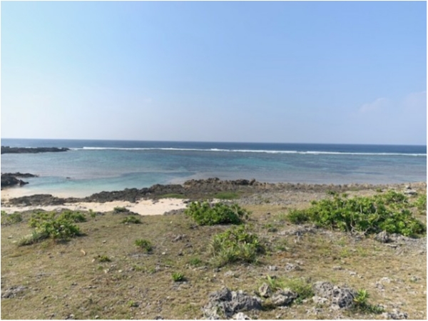 hideup 乃村弘栄 ブログ写真 2019/12/18