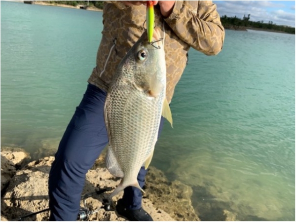 hideup 乃村弘栄 ブログ写真 2019/12/18