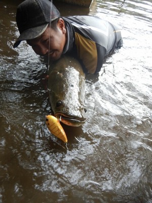 hideup 乃村弘栄 ブログ写真 2019/12/29