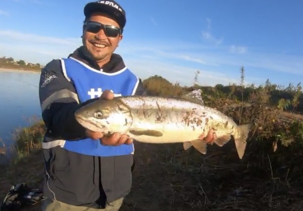 hideup 乃村弘栄 ブログ写真 2019/12/29