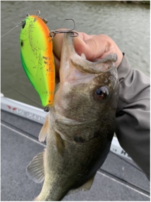 hideup 乃村弘栄 ブログ写真 2020/03/31