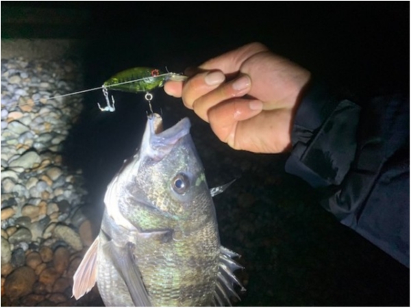 hideup 乃村弘栄 ブログ写真 2020/03/31