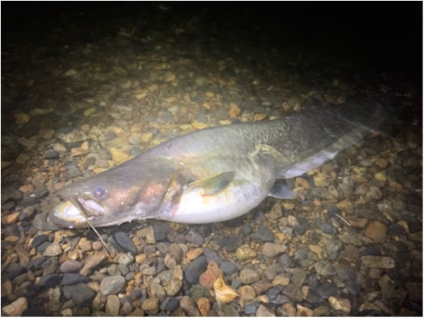 hideup 乃村弘栄 ブログ写真 2020/07/03