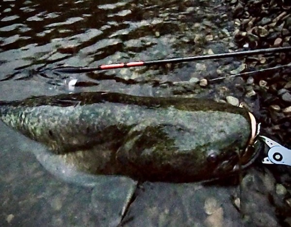 hideup 乃村弘栄 ブログ写真 2020/07/03