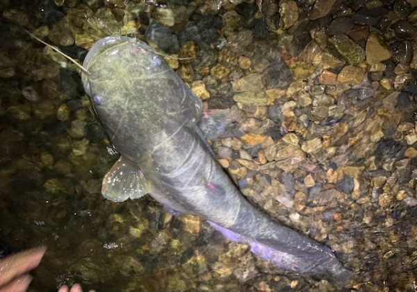 hideup 乃村弘栄 ブログ写真 2020/07/03