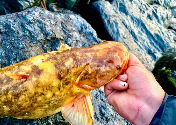 hideup 乃村弘栄 ブログ写真 2020/07/03