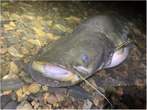 hideup 乃村弘栄 ブログ写真 2020/07/03