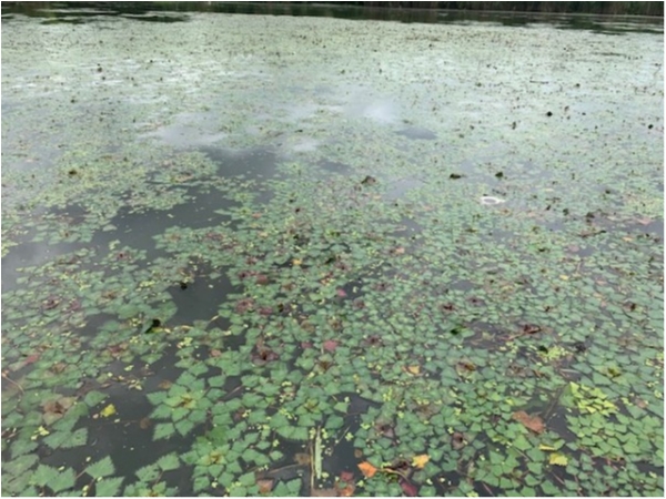 hideup 乃村弘栄 ブログ写真 2020/07/09