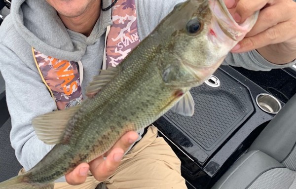 hideup 乃村弘栄 ブログ写真 2020/07/09