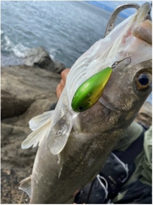 hideup 乃村弘栄 ブログ写真 2020/07/20