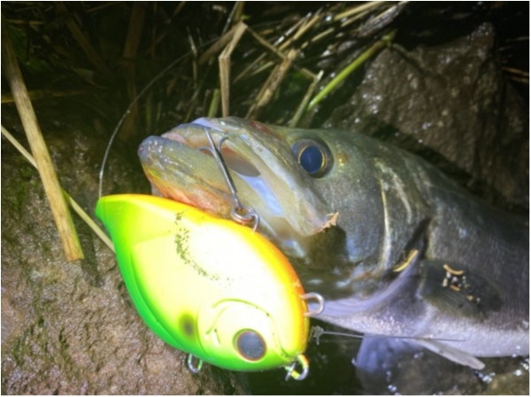 hideup 乃村弘栄 ブログ写真 2020/07/20