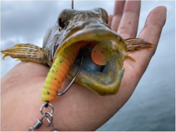 hideup 乃村弘栄 ブログ写真 2020/07/20