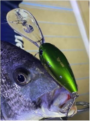 hideup 乃村弘栄 ブログ写真 2020/07/24