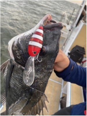 hideup 乃村弘栄 ブログ写真 2020/07/24