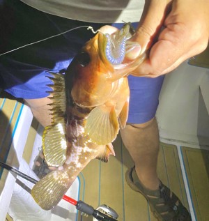 hideup 乃村弘栄 ブログ写真 2020/07/24