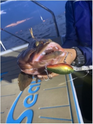 hideup 乃村弘栄 ブログ写真 2020/07/24