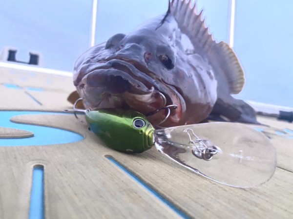 hideup 乃村弘栄 ブログ写真 2020/07/24