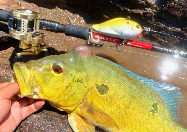 hideup 乃村弘栄 ブログ写真 2020/07/30