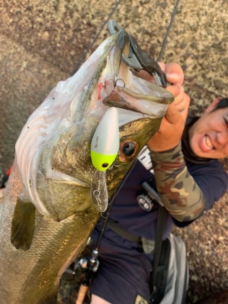 hideup 乃村弘栄 ブログ写真 2020/08/08