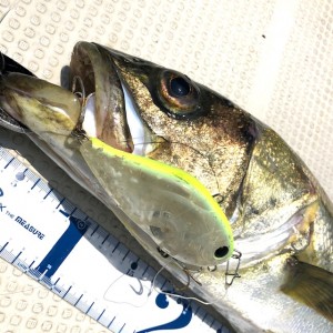 hideup 乃村弘栄 ブログ写真 2020/08/08