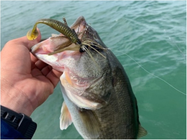 hideup 乃村弘栄 ブログ写真 2020/08/16