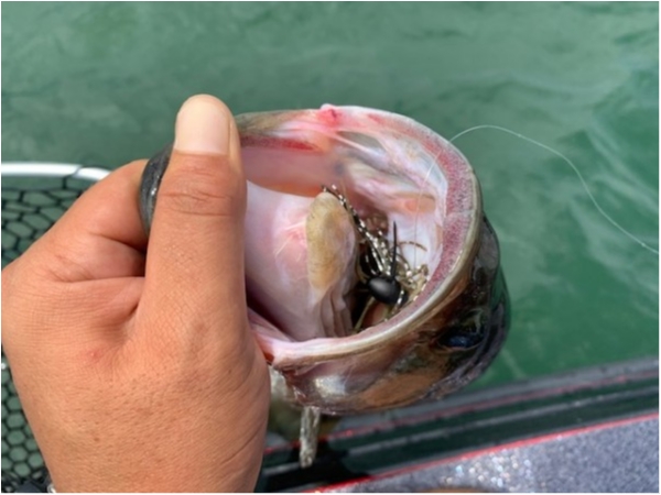 hideup 乃村弘栄 ブログ写真 2020/08/16