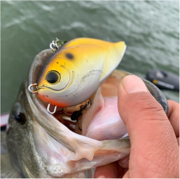 hideup 乃村弘栄 ブログ写真 2020/08/21