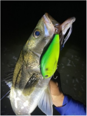 hideup 乃村弘栄 ブログ写真 2020/08/21