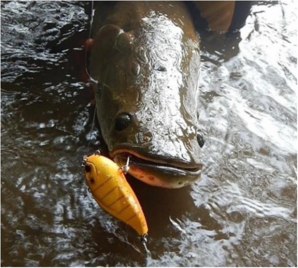 hideup 乃村弘栄 ブログ写真 2020/08/21