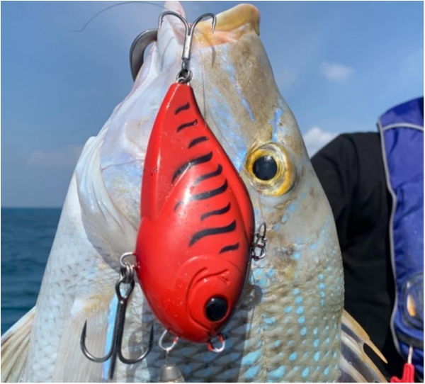 hideup 乃村弘栄 ブログ写真 2020/08/21