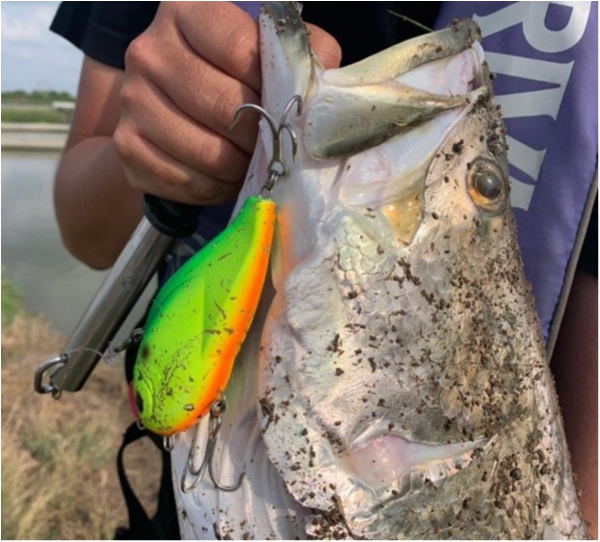 hideup 乃村弘栄 ブログ写真 2020/08/21