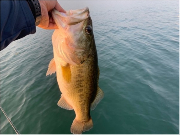 hideup 乃村弘栄 ブログ写真 2020/08/28