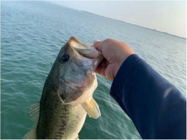 hideup 乃村弘栄 ブログ写真 2020/08/28