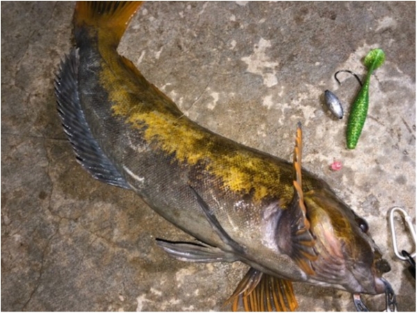 hideup 乃村弘栄 ブログ写真 2020/12/08