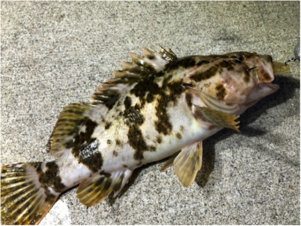 hideup 乃村弘栄 ブログ写真 2020/12/08