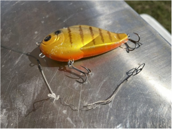 hideup 乃村弘栄 ブログ写真 2020/12/22