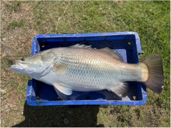 hideup 乃村弘栄 ブログ写真 2020/12/22