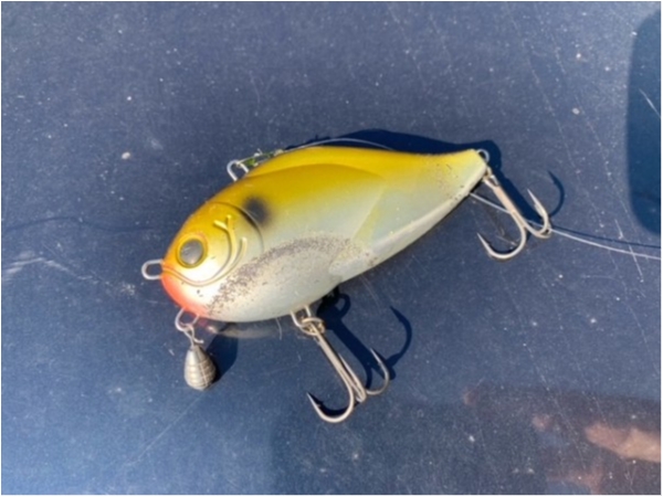 hideup 乃村弘栄 ブログ写真 2020/12/23