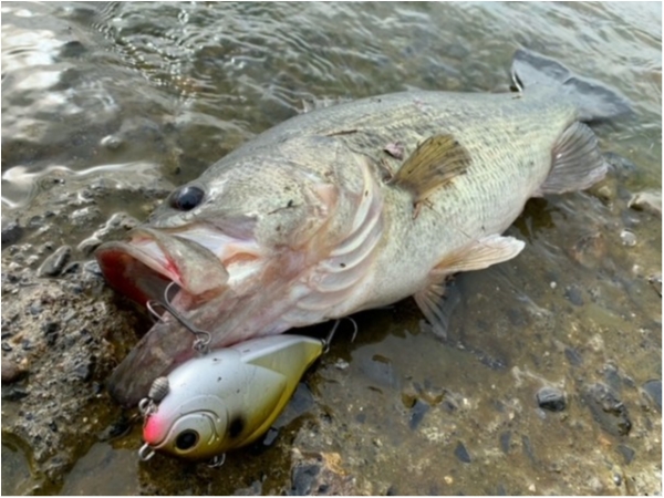 hideup 乃村弘栄 ブログ写真 2021/03/04