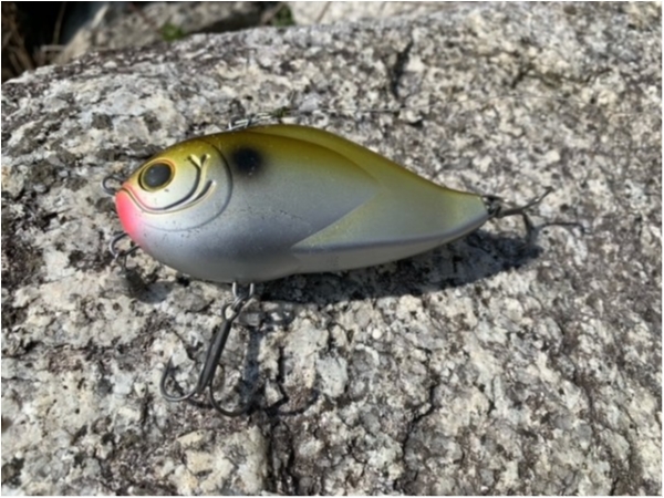 hideup 乃村弘栄 ブログ写真 2021/03/04