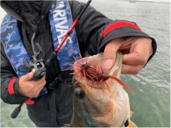 hideup 乃村弘栄 ブログ写真 2021/03/08