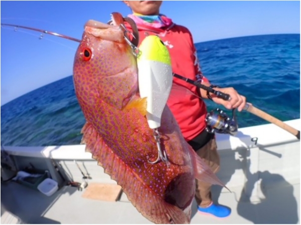 hideup 乃村弘栄 ブログ写真 2021/03/08