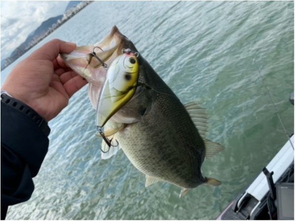 hideup 乃村弘栄 ブログ写真 2021/03/08