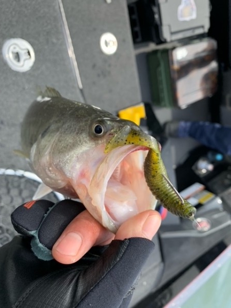 hideup 乃村弘栄 ブログ写真 2021/03/11