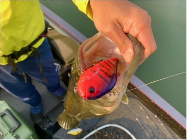 hideup 乃村弘栄 ブログ写真 2021/03/11