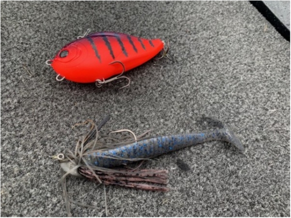 hideup 乃村弘栄 ブログ写真 2021/03/18