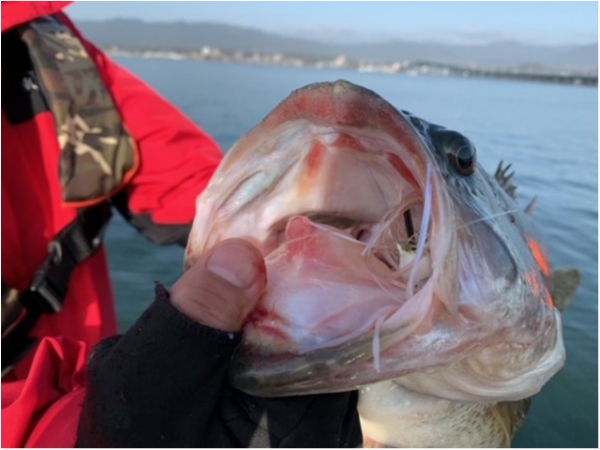 hideup 乃村弘栄 ブログ写真 2021/03/18